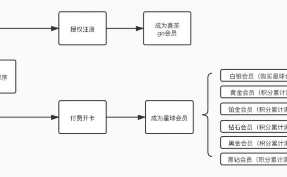 喜茶会员分层运营体系分析