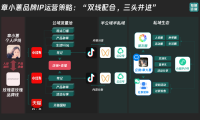 章小蕙的IP全域运营策略
