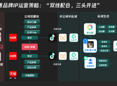 章小蕙的IP全域运营策略