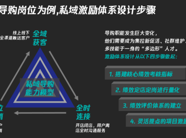 私域数据落地痛点和搭建思路