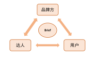 怎么写好合格的小红书投放Brief